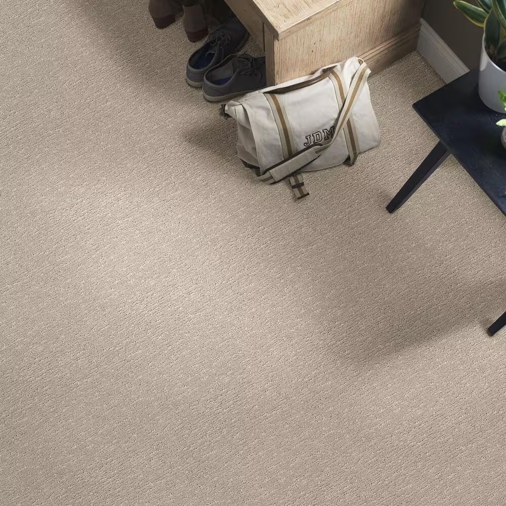 34435-anderson-tuftex-contour-carpet-in-inner-balance-1.jpg