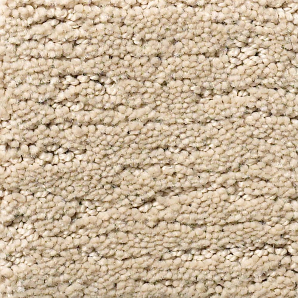 Anderson Tuftex Contour Carpet in Oak Ridge