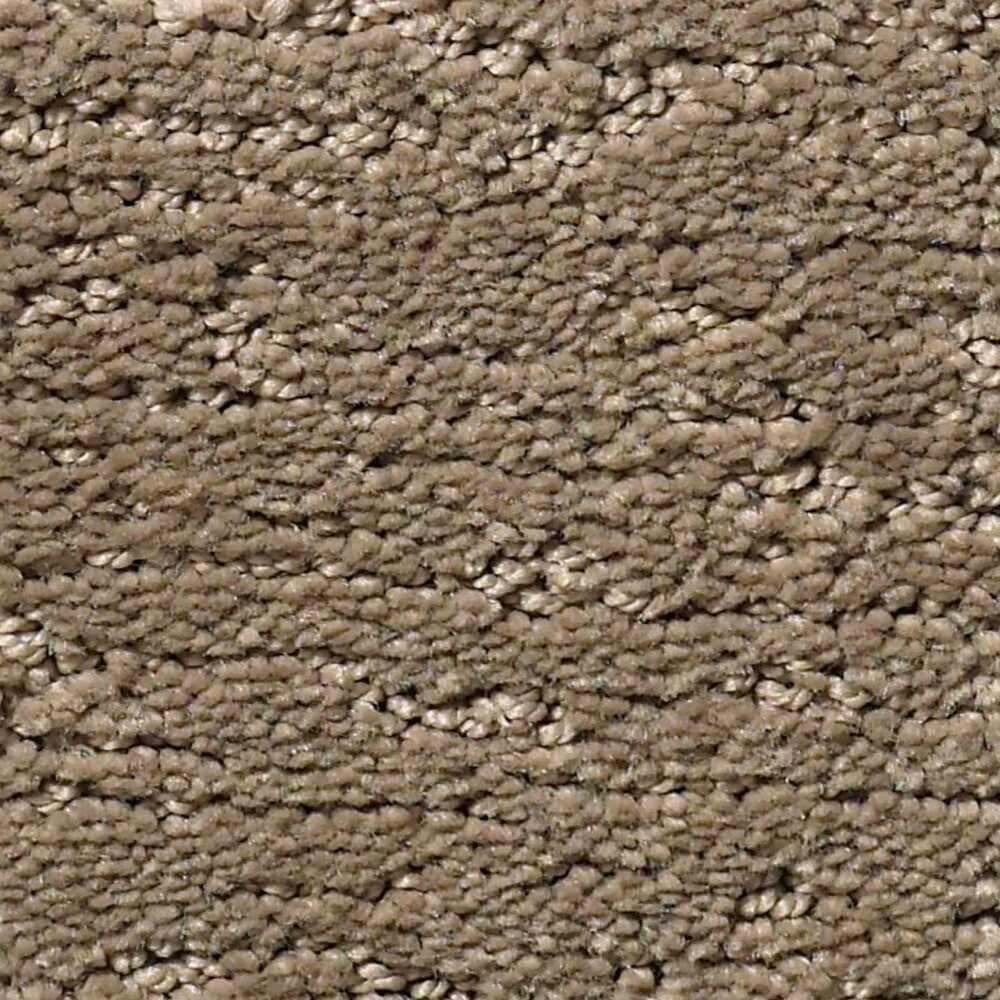 Anderson Tuftex Contour Carpet in Rockport
