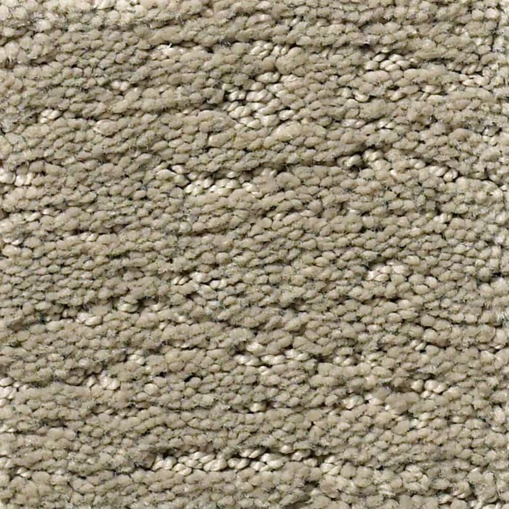 Anderson Tuftex Contour Carpet in Imperial