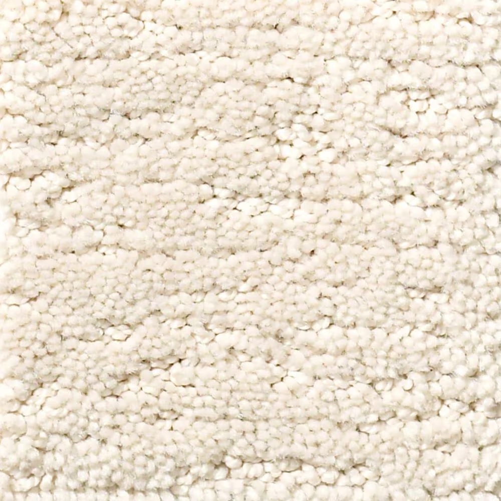Anderson Tuftex Contour Carpet in Salt Box