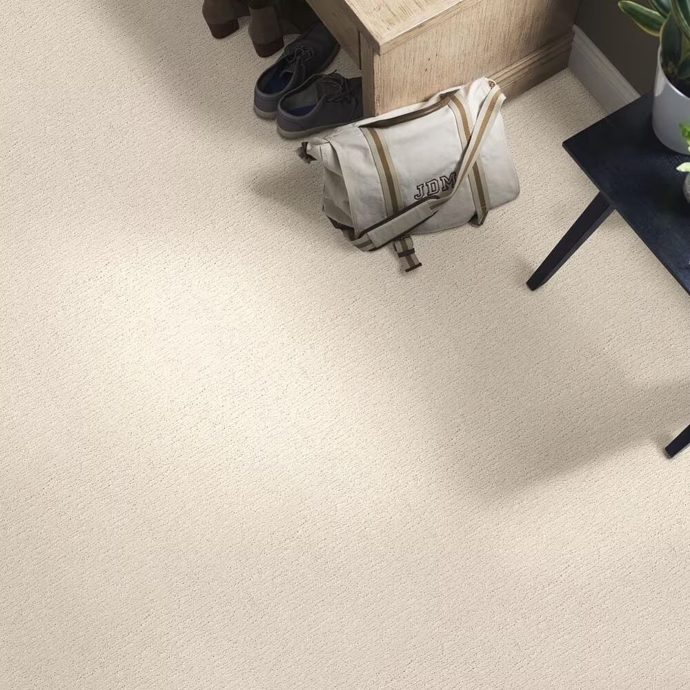 34445-anderson-tuftex-contour-carpet-in-salt-box-1.jpg