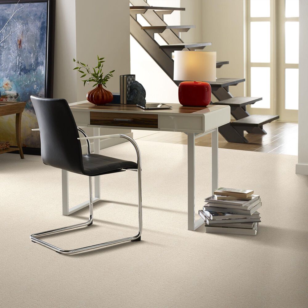 34445-anderson-tuftex-contour-carpet-in-salt-box-1.jpg