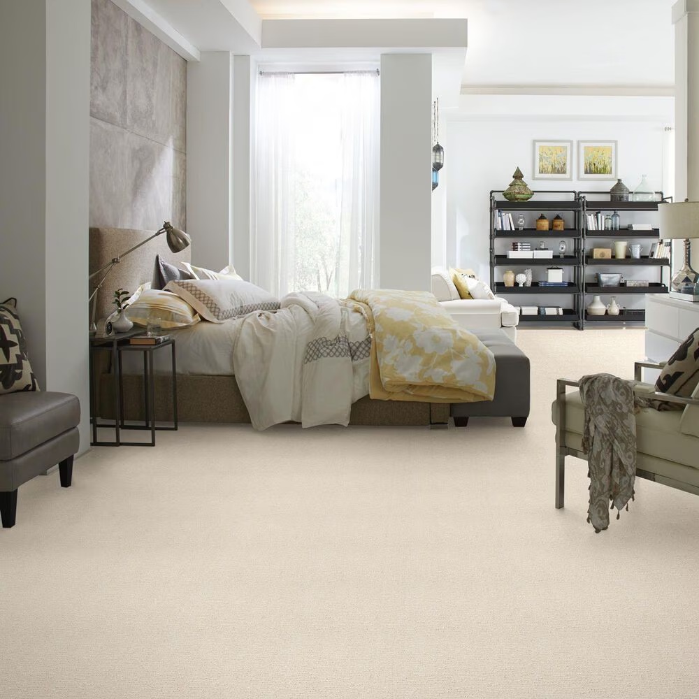 34445-anderson-tuftex-contour-carpet-in-salt-box-1.jpg
