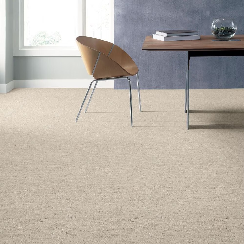 34445-anderson-tuftex-contour-carpet-in-salt-box-1.jpg