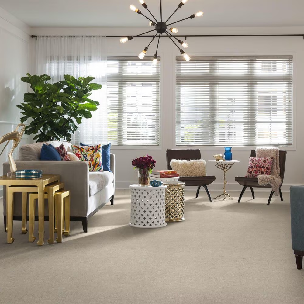 34445-anderson-tuftex-contour-carpet-in-salt-box-1.jpg