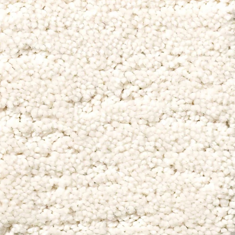 Anderson Tuftex Contour Carpet in Aria