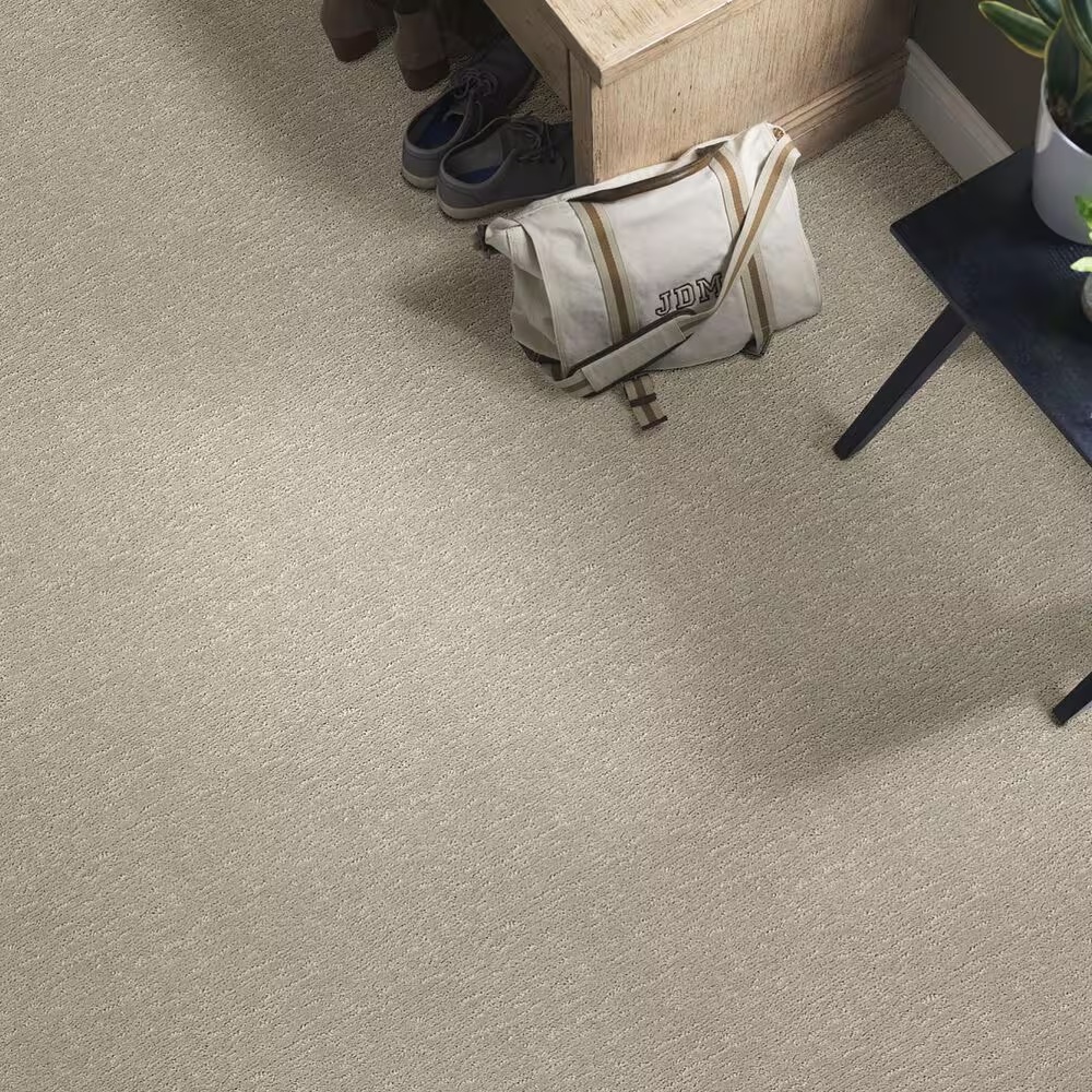 34447-anderson-tuftex-contour-carpet-in-half-moon-1.jpg