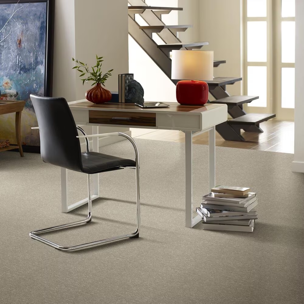 34447-anderson-tuftex-contour-carpet-in-half-moon-1.jpg