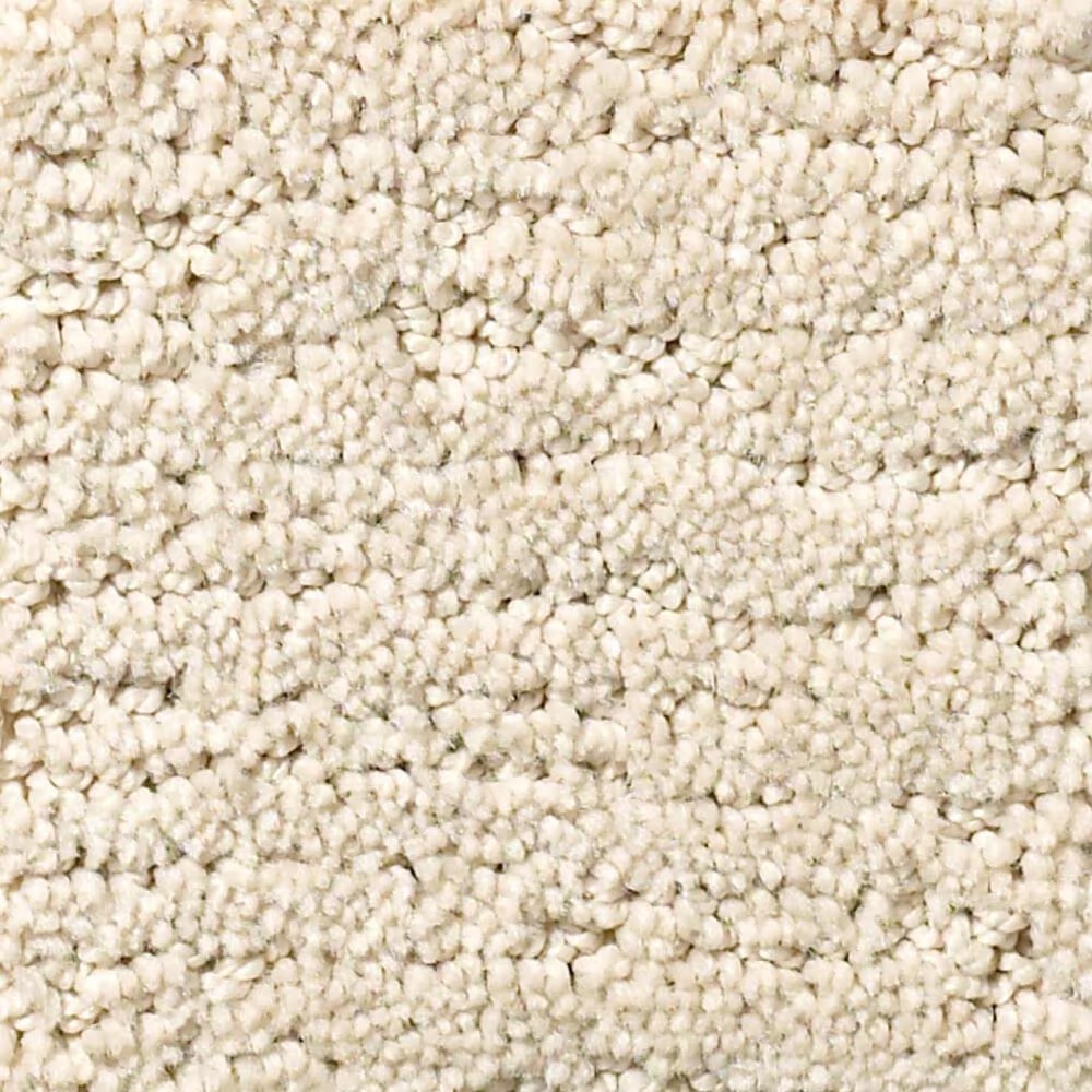 Anderson Tuftex Contour Carpet in Morning Light