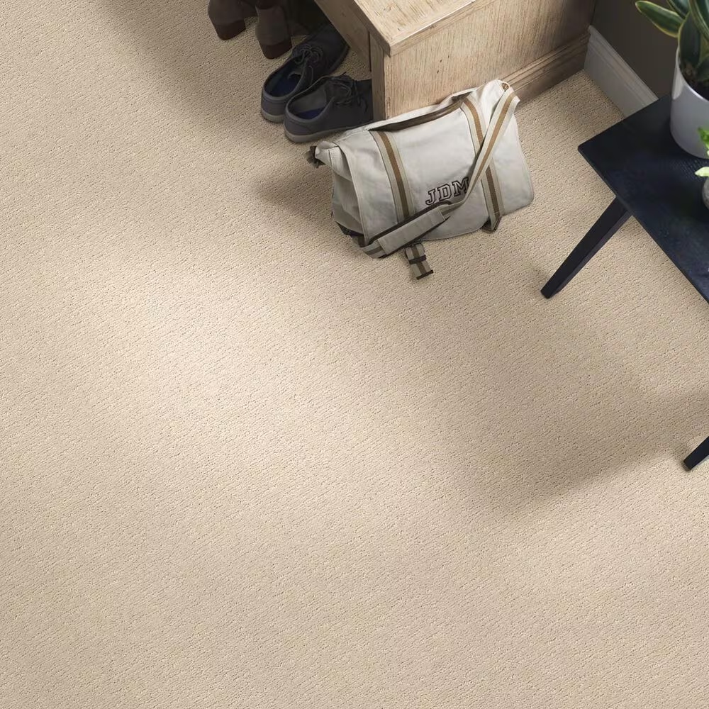34449-anderson-tuftex-contour-carpet-in-morning-light-1.jpg