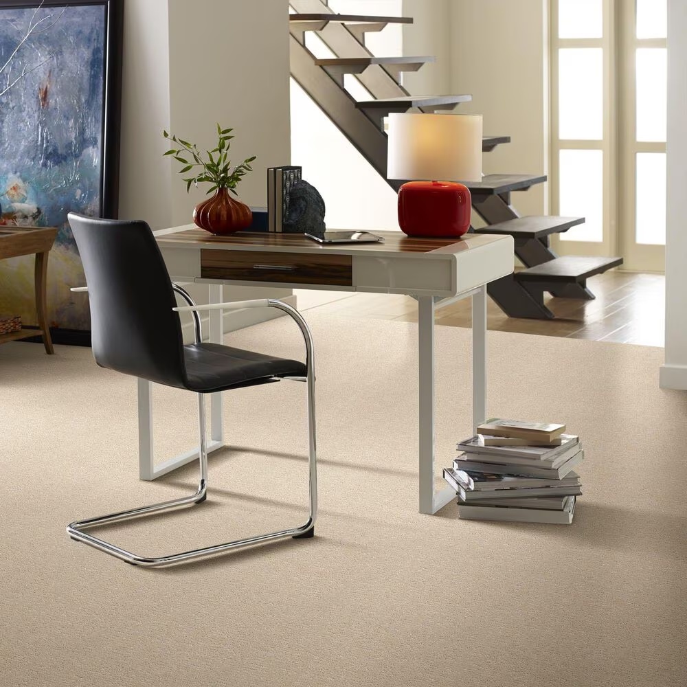 34449-anderson-tuftex-contour-carpet-in-morning-light-1.jpg