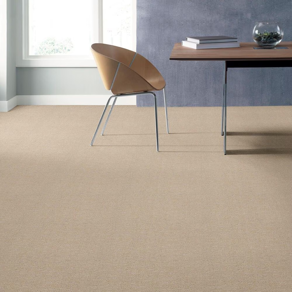 34449-anderson-tuftex-contour-carpet-in-morning-light-1.jpg