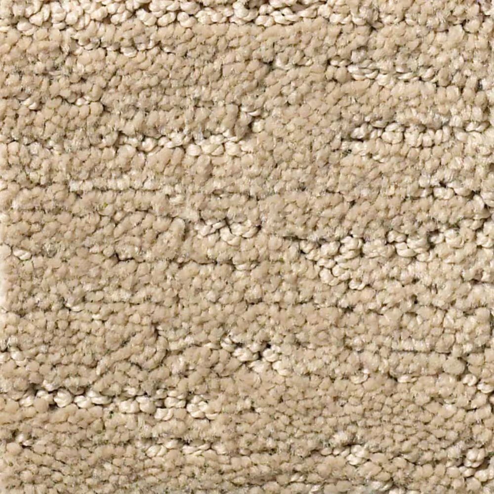 Anderson Tuftex Contour Carpet in Coronado