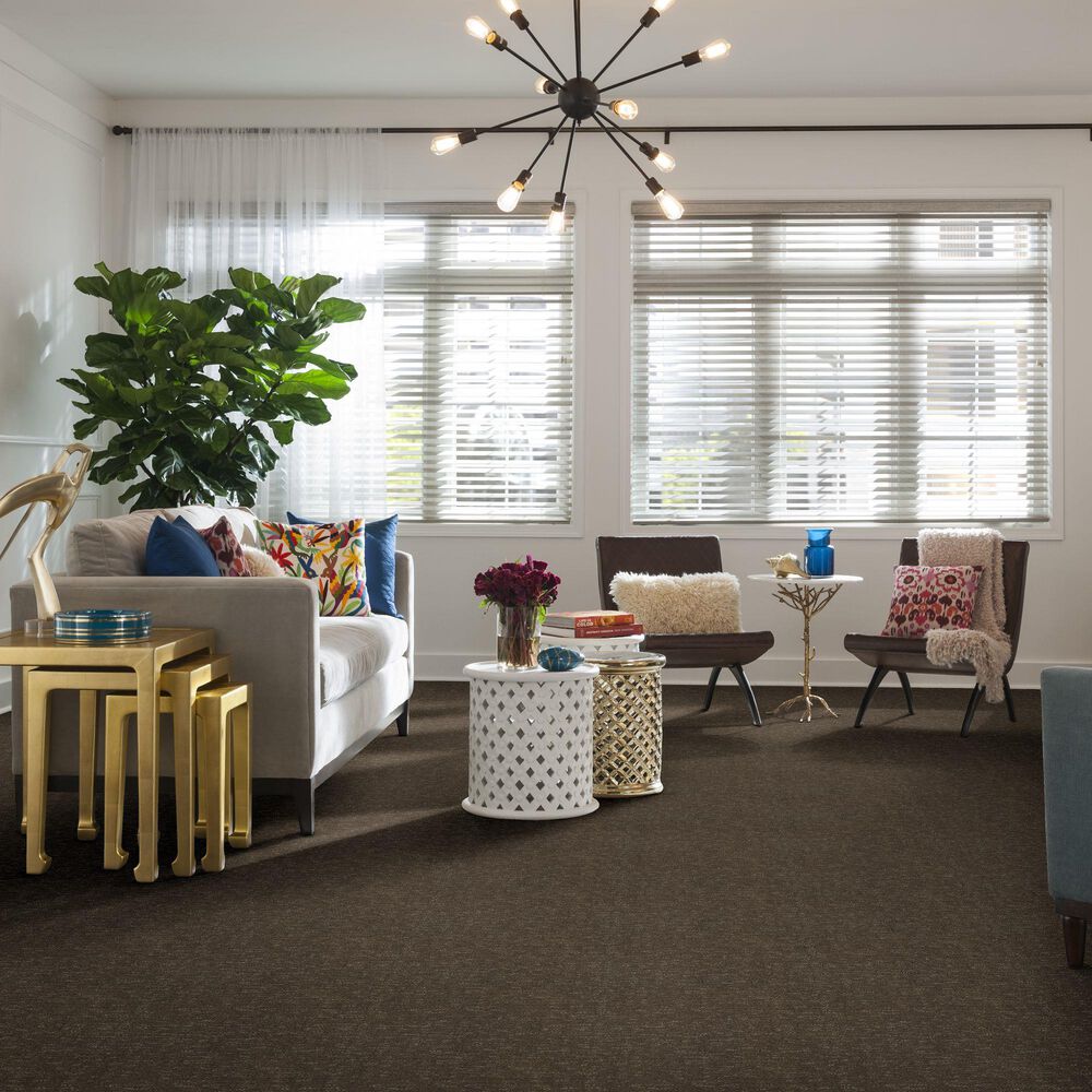 34455-anderson-tuftex-contour-carpet-in-dash-1.jpg