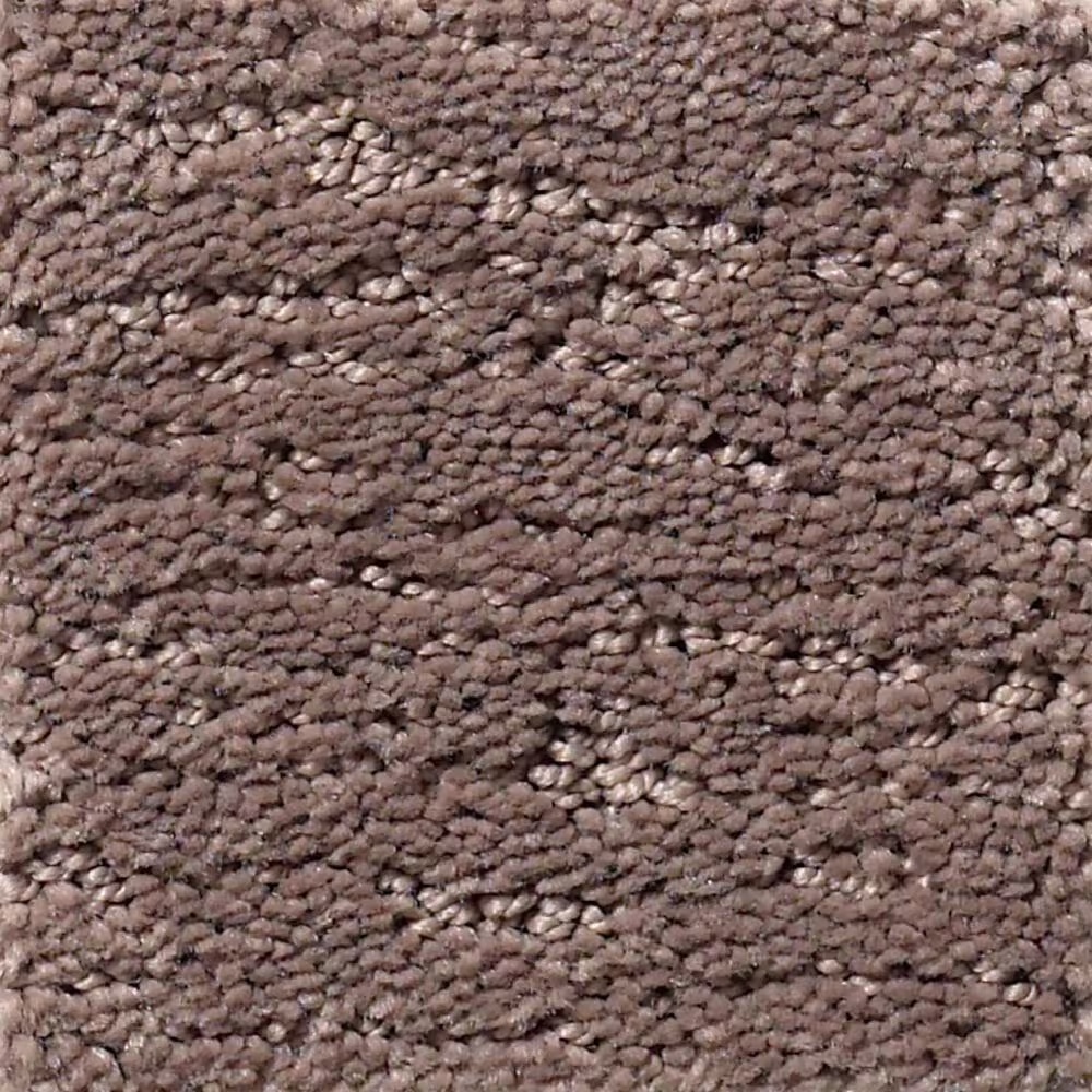 Anderson Tuftex Contour Carpet in Chantrelle