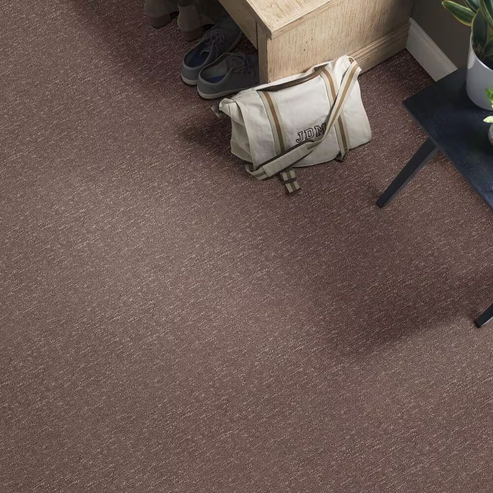 34456-anderson-tuftex-contour-carpet-in-chantrelle-1.jpg