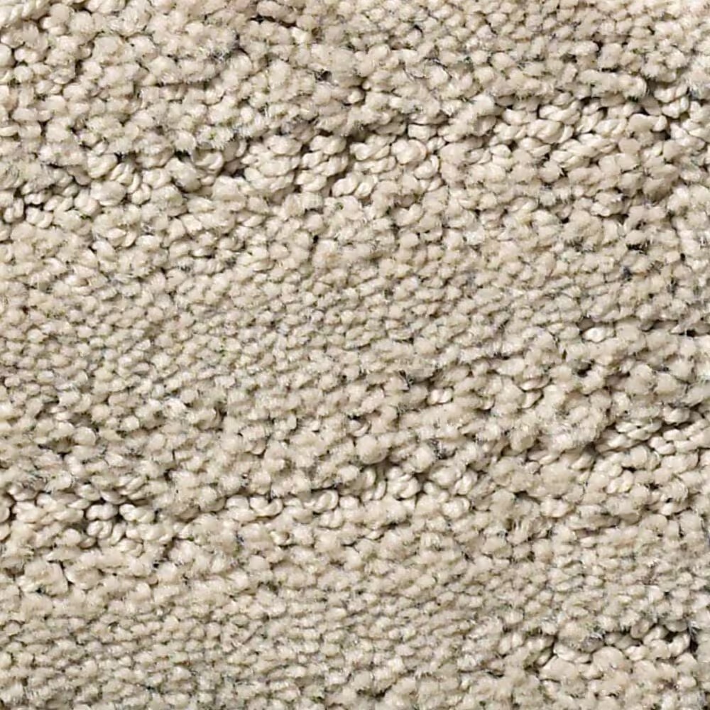 Anderson Tuftex Matisse Carpet in Inner Balance
