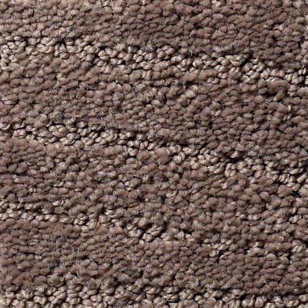 Anderson Tuftex Matisse Carpet in Chantrelle