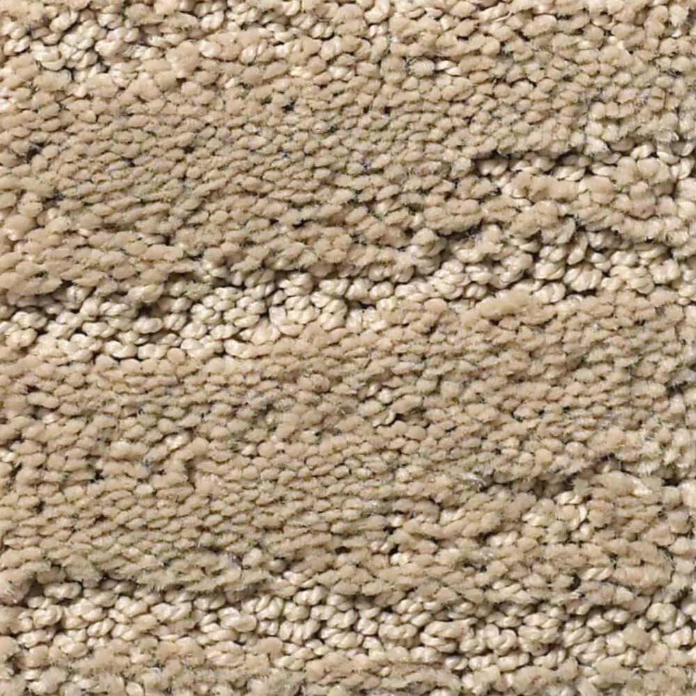 Anderson Tuftex Matisse Carpet in Coronado
