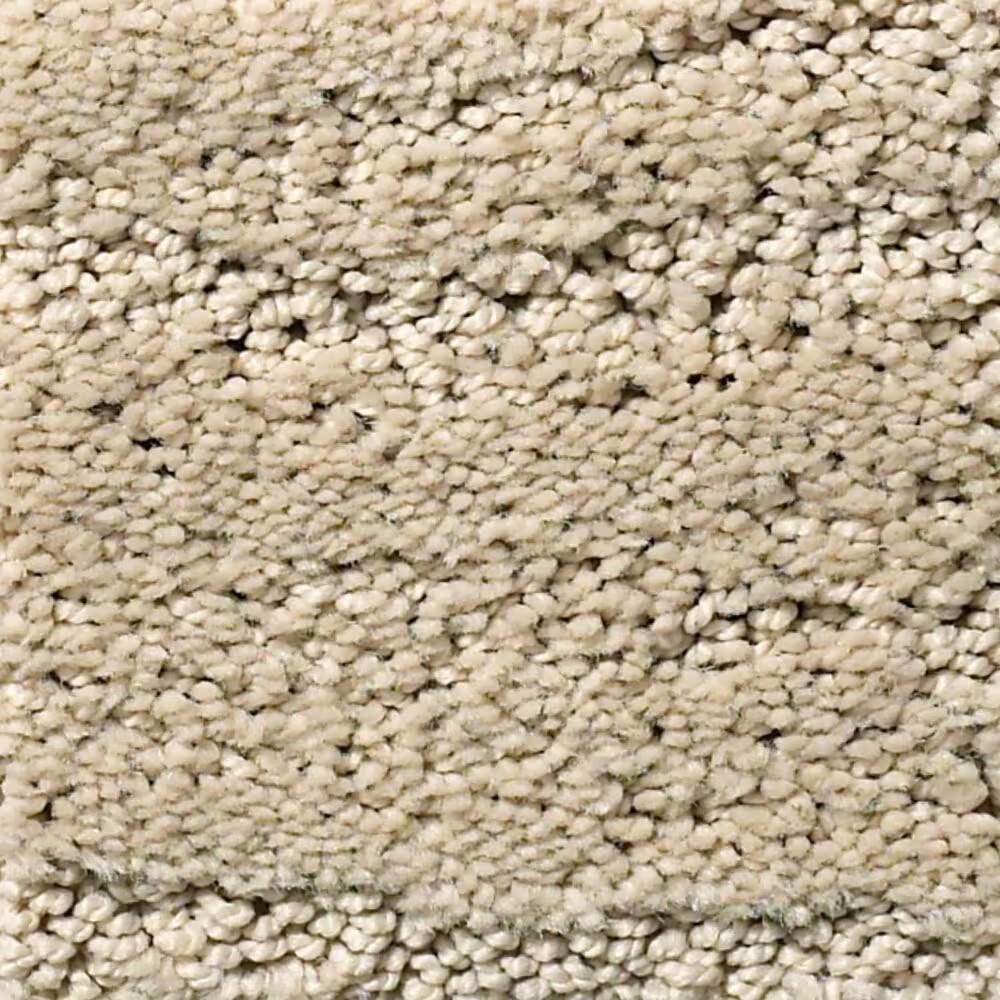 Anderson Tuftex Matisse Carpet in Bungalow