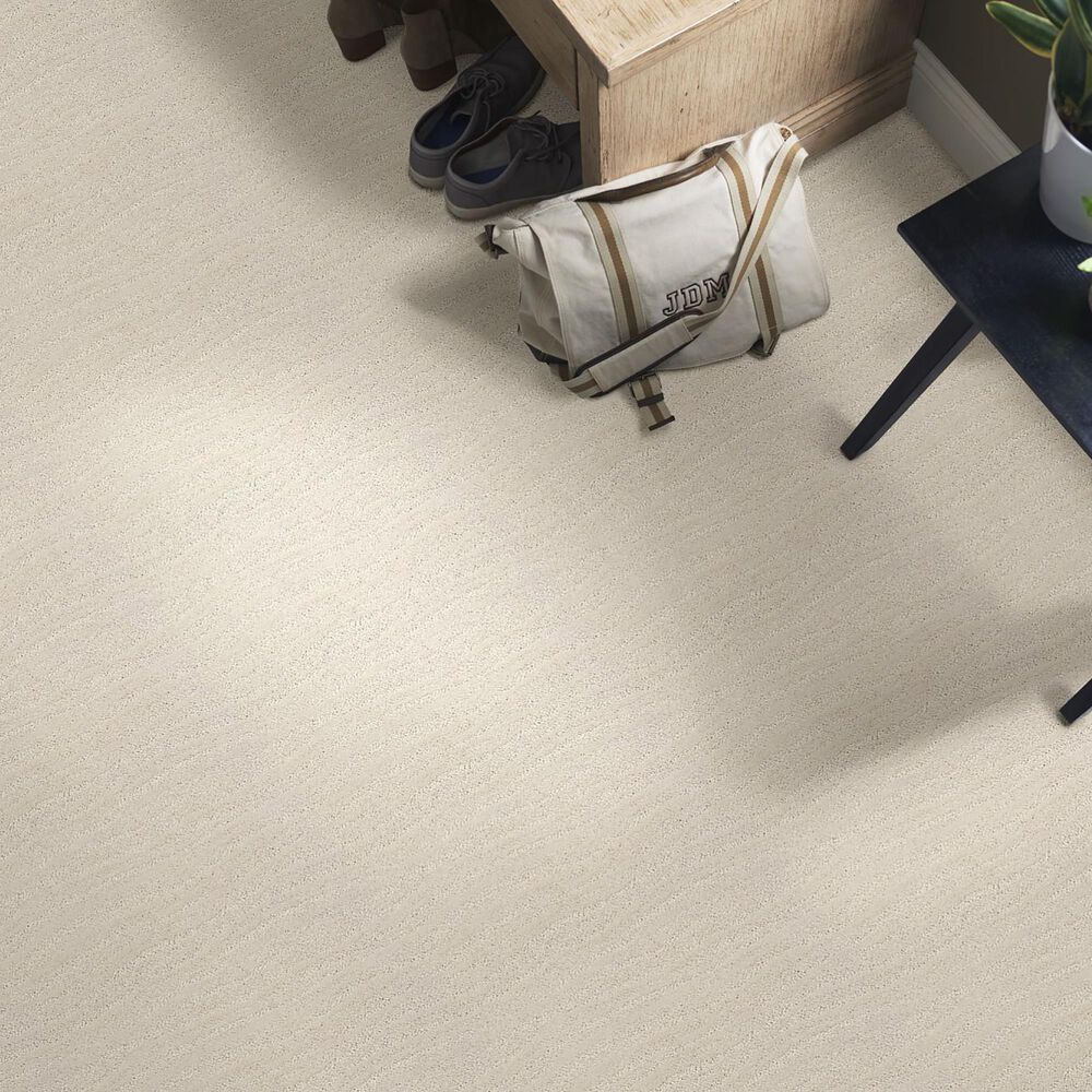 34474-anderson-tuftex-matisse-carpet-in-minimal-1.jpg