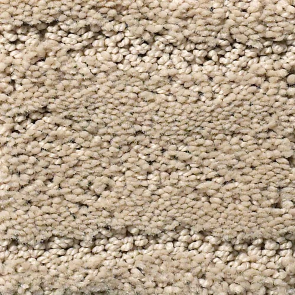 Anderson Tuftex Matisse Carpet in Oak Ridge