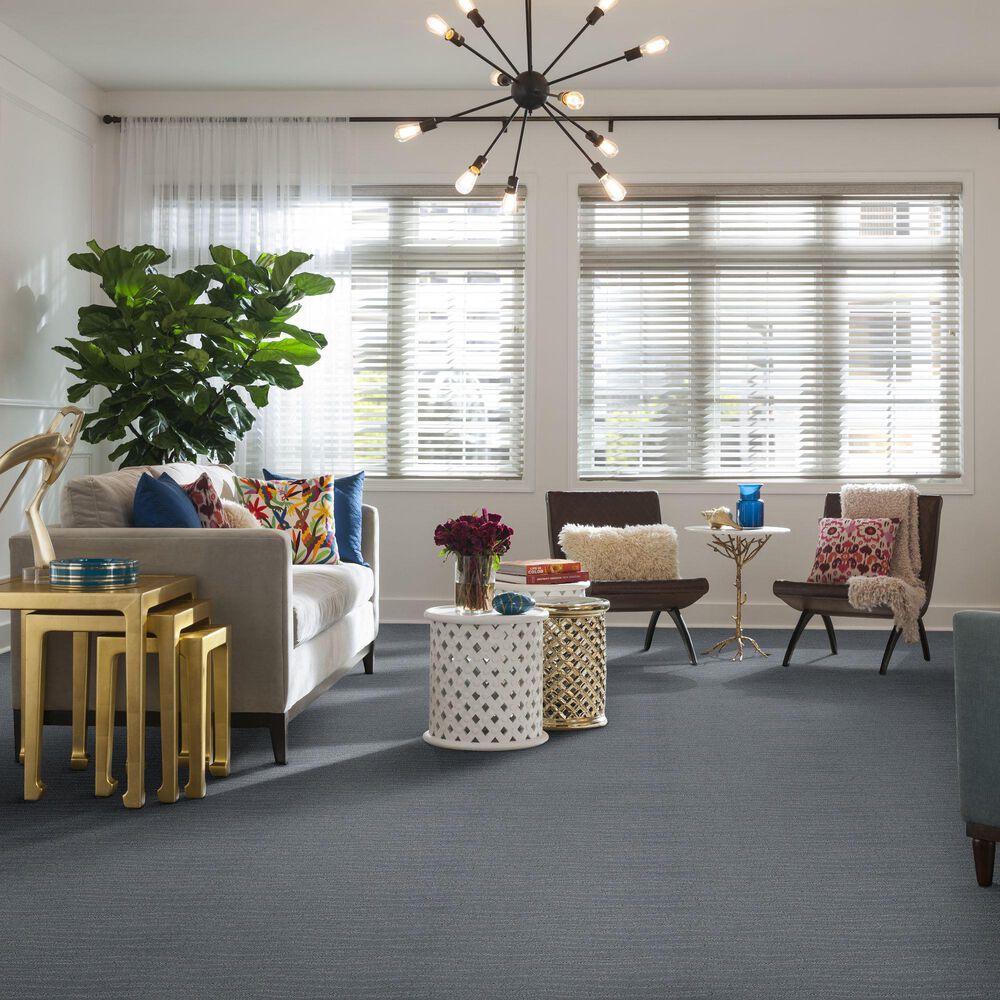 34480-anderson-tuftex-matisse-carpet-in-edgewater-1.jpg