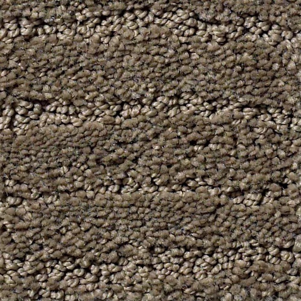 Anderson Tuftex Matisse Carpet in Dash