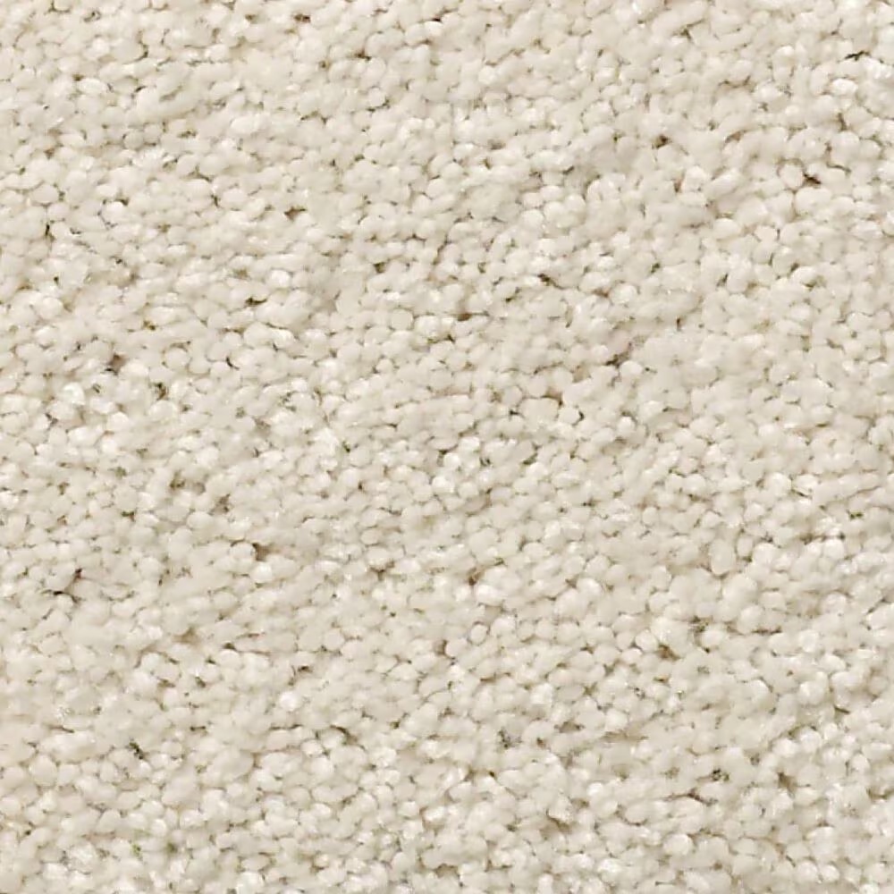 Anderson Tuftex Free Form Carpet in Aria