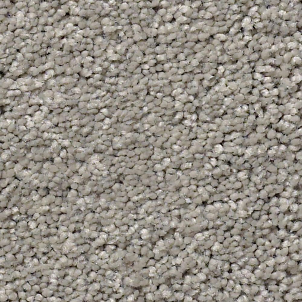 Anderson Tuftex Free Form Carpet in Smoke Embers