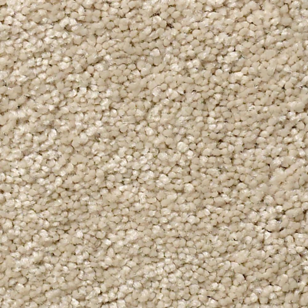 Anderson Tuftex Free Form Carpet in Morning Light