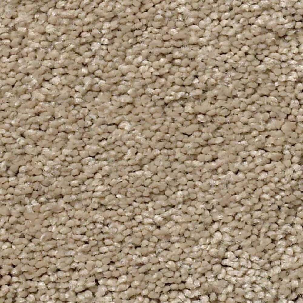 Anderson Tuftex Free Form Carpet in Oak Ridge