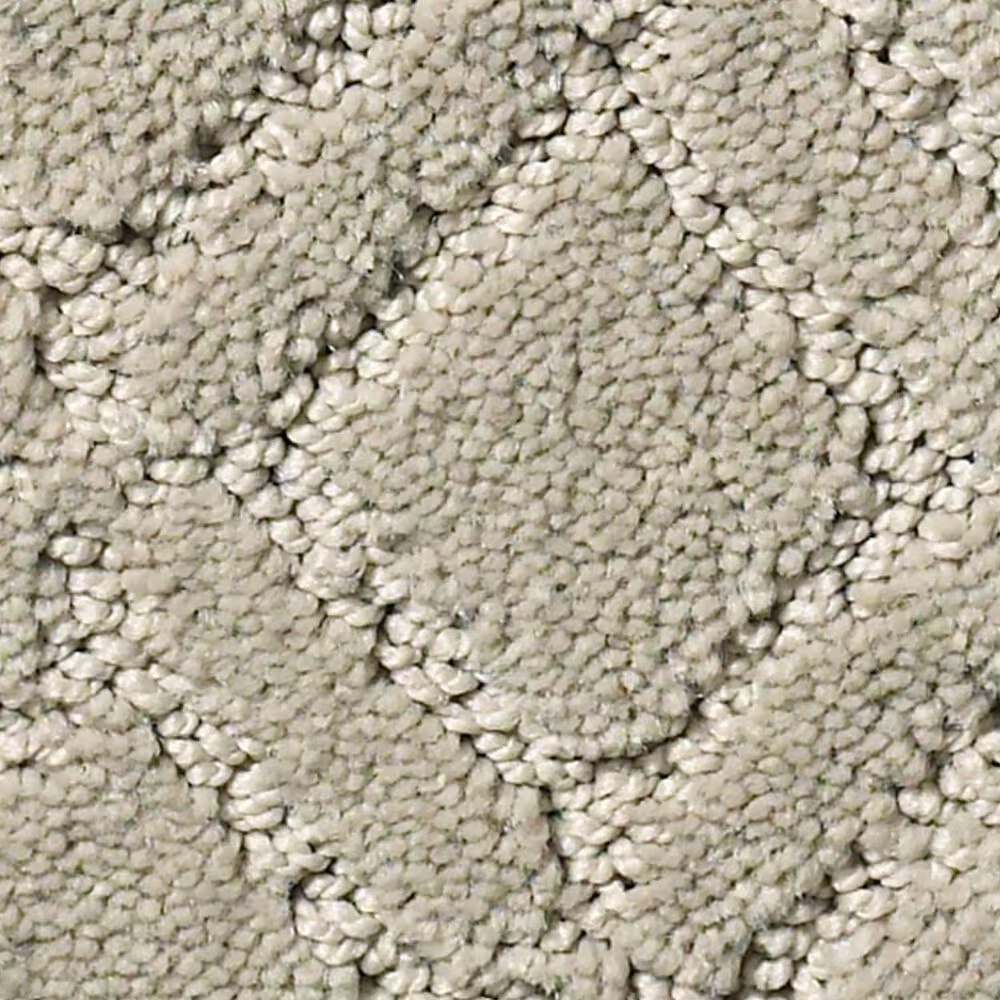Anderson Tuftex Muse Carpet in Cumulus