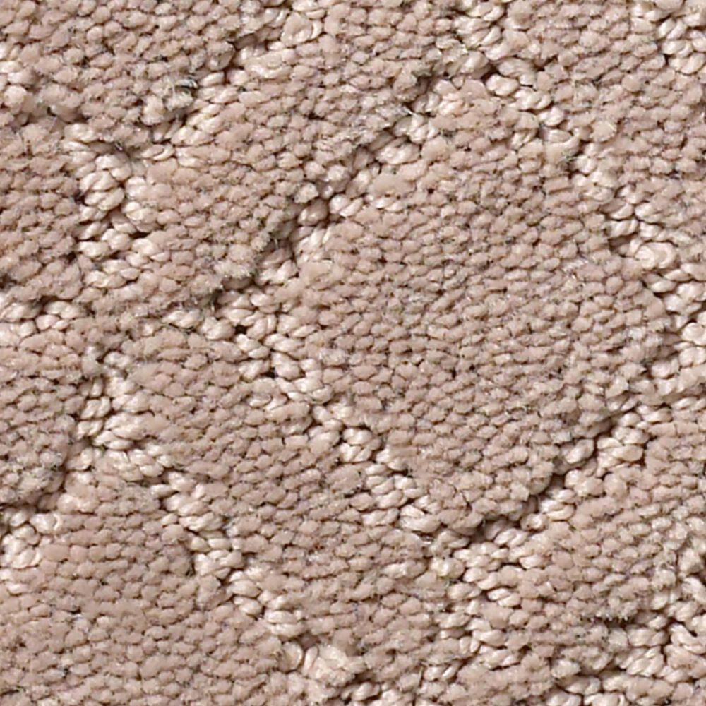 Anderson Tuftex Muse Carpet in Socialite
