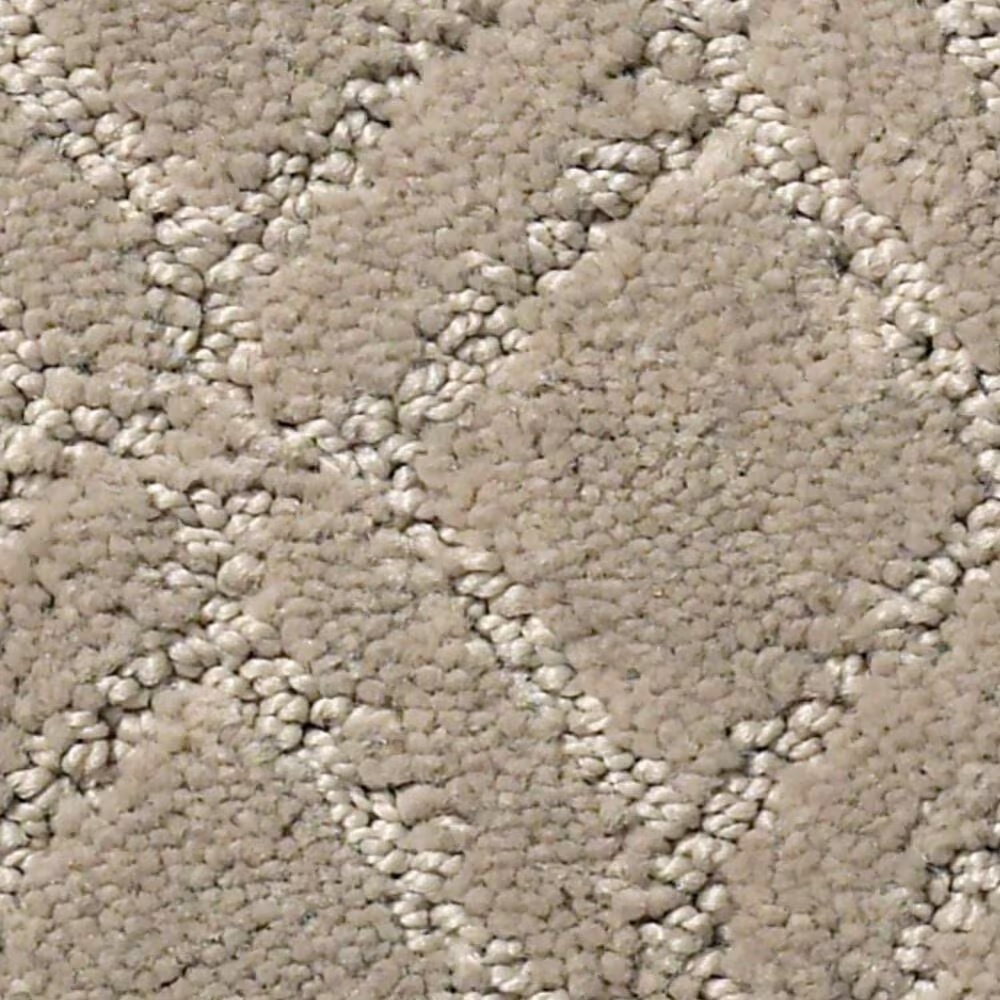 Anderson Tuftex Muse Carpet in Reflection