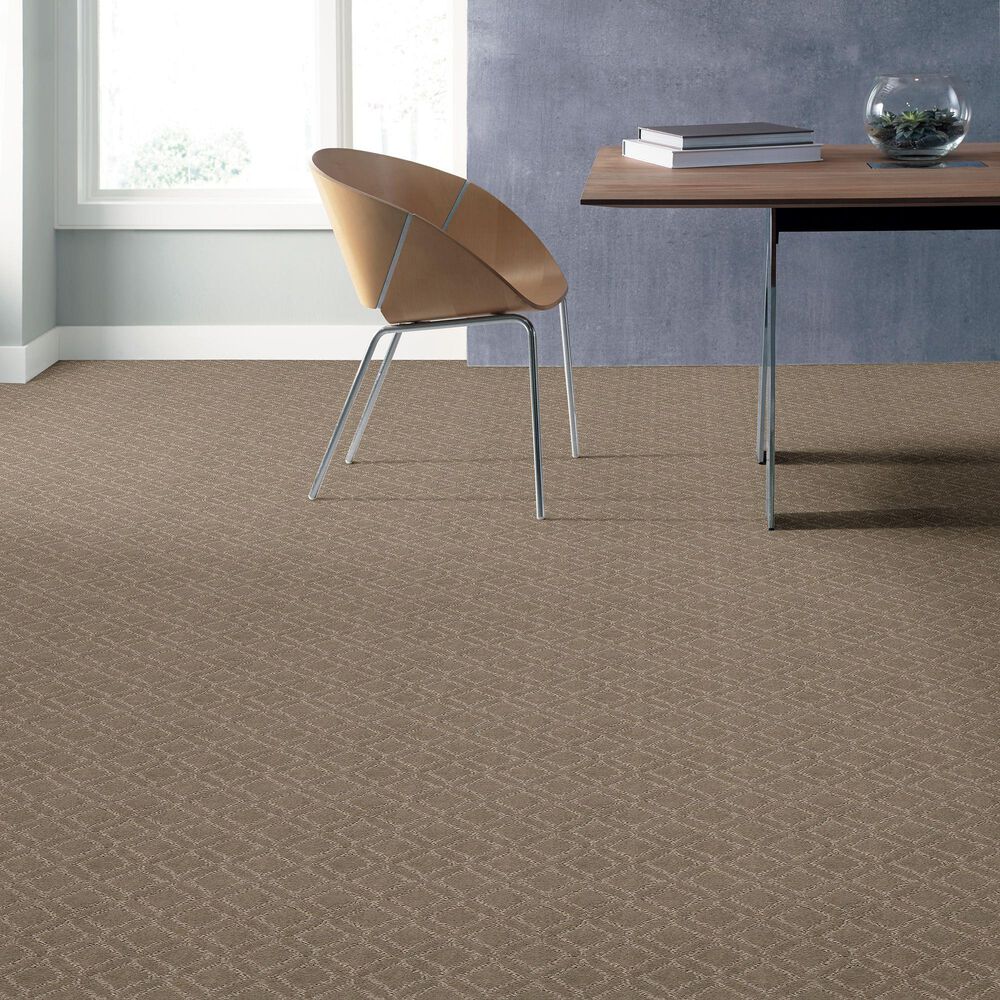 34493-anderson-tuftex-muse-carpet-in-reflection-1.jpg