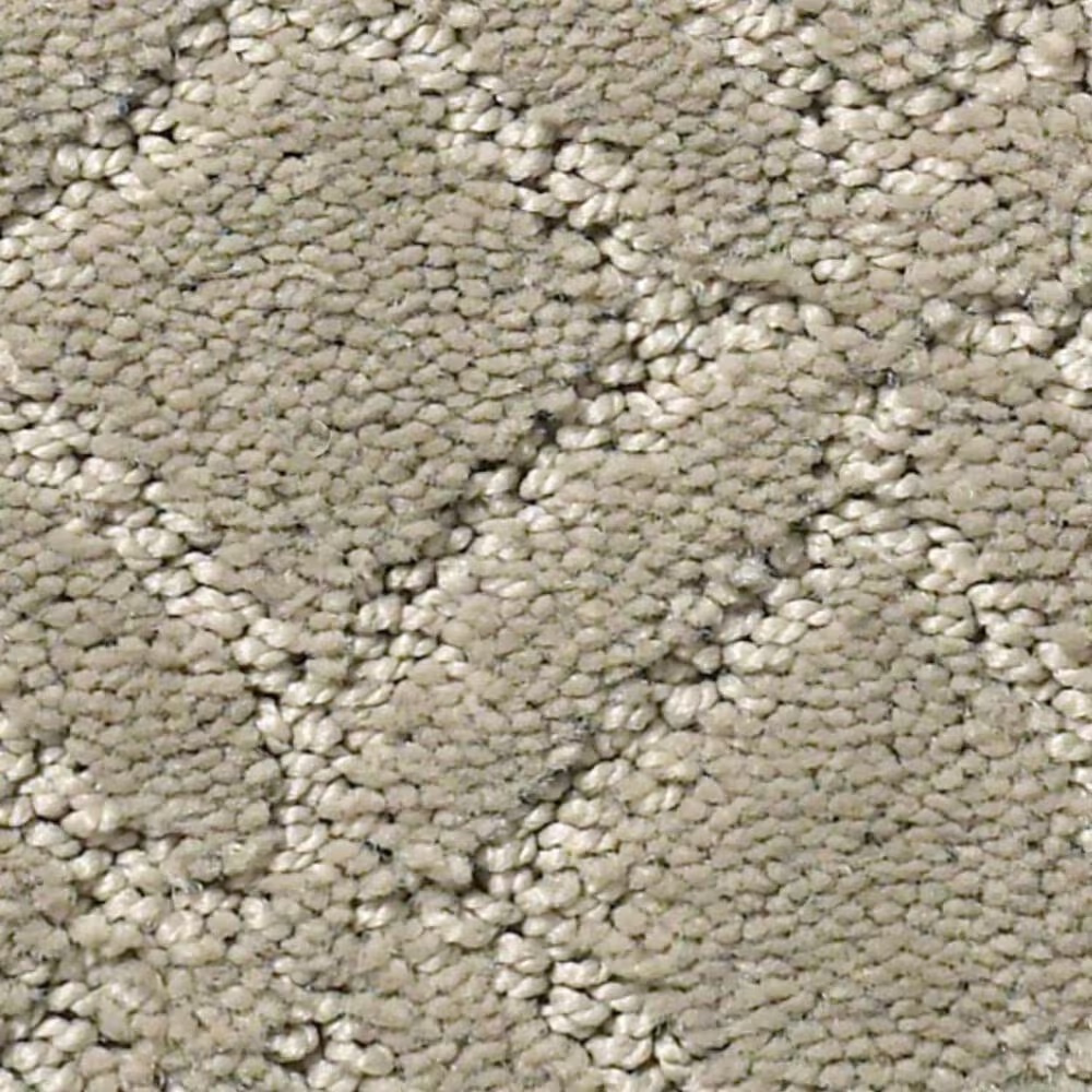 Anderson Tuftex Muse Carpet in Imperial