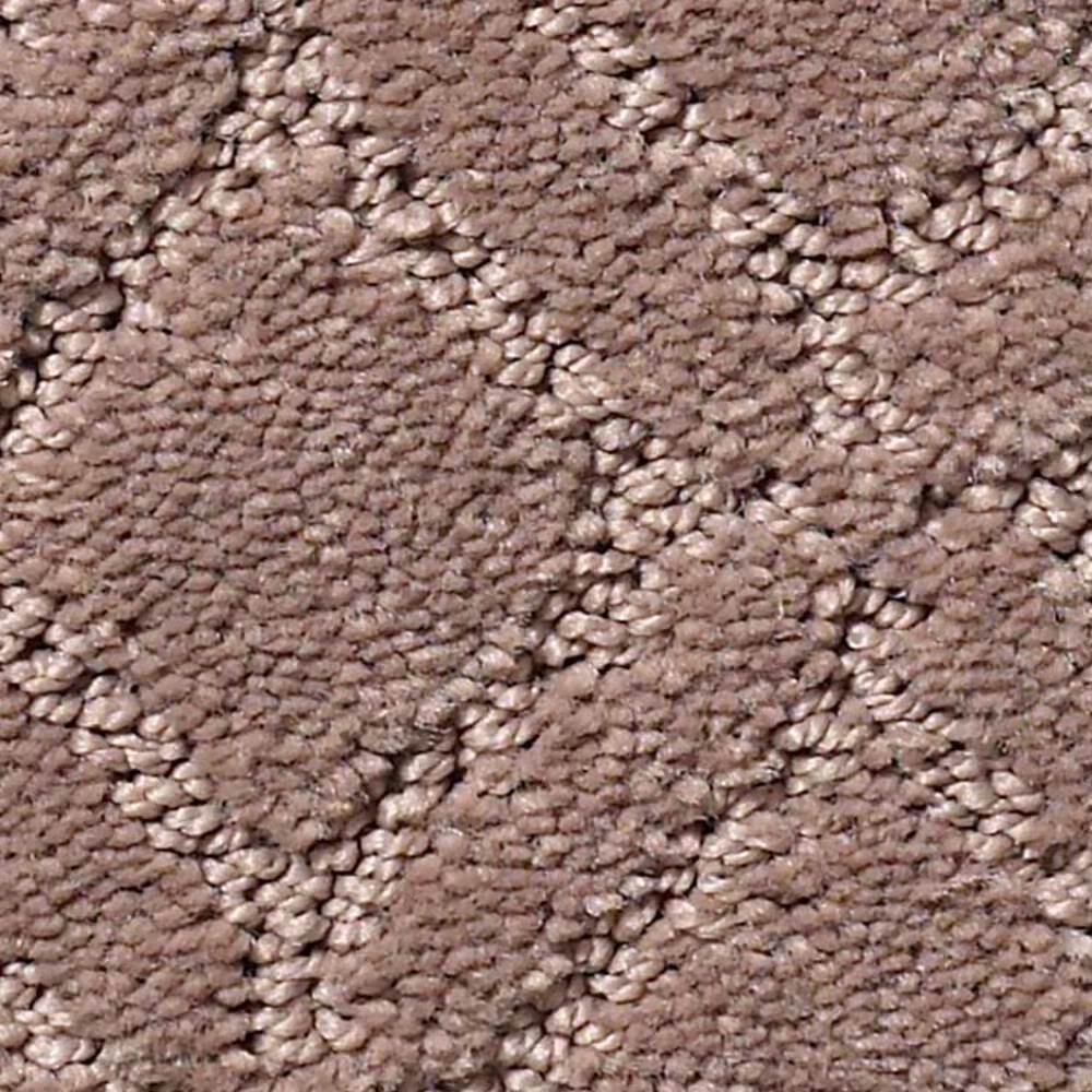 Anderson Tuftex Muse Carpet in Enigma