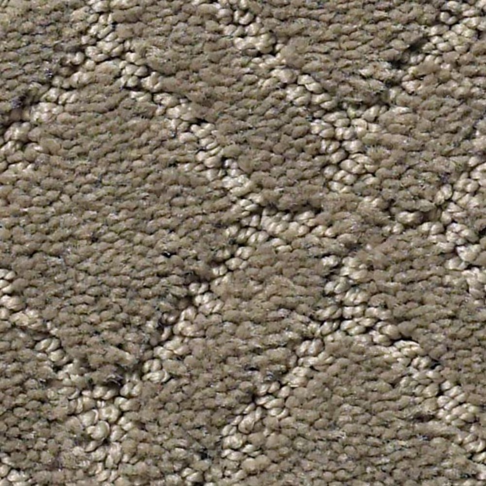 Anderson Tuftex Muse Carpet in Herbal