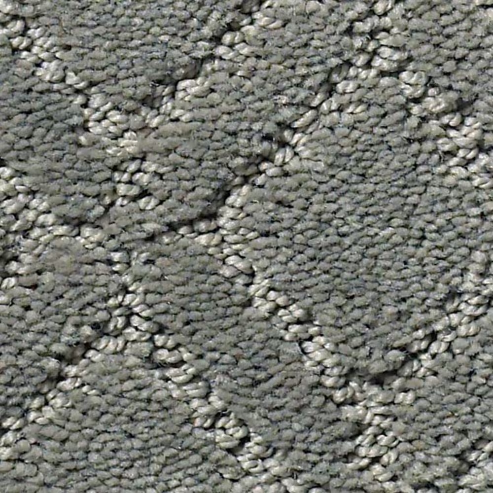 Anderson Tuftex Muse Carpet in Magical