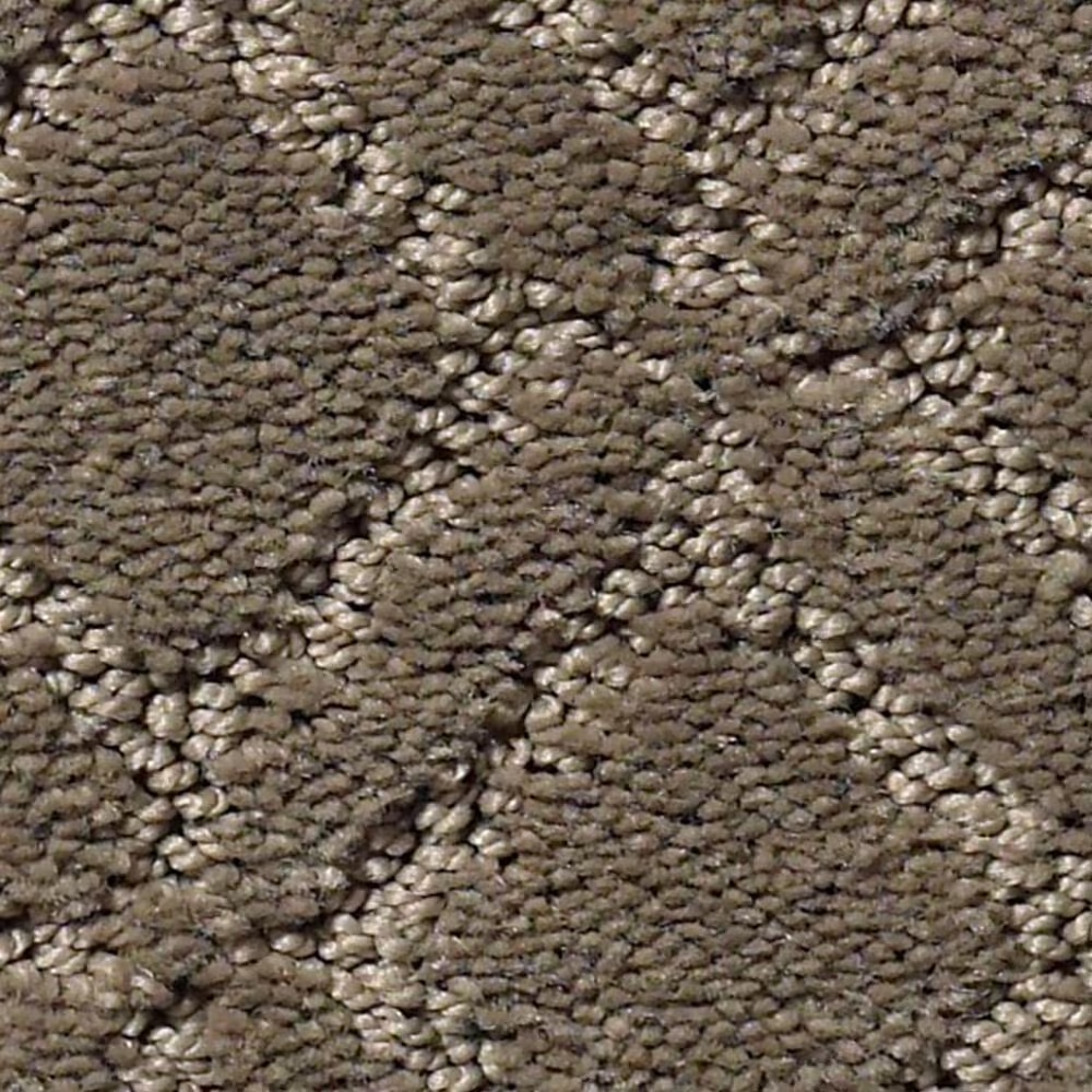 Anderson Tuftex Muse Carpet in Dash