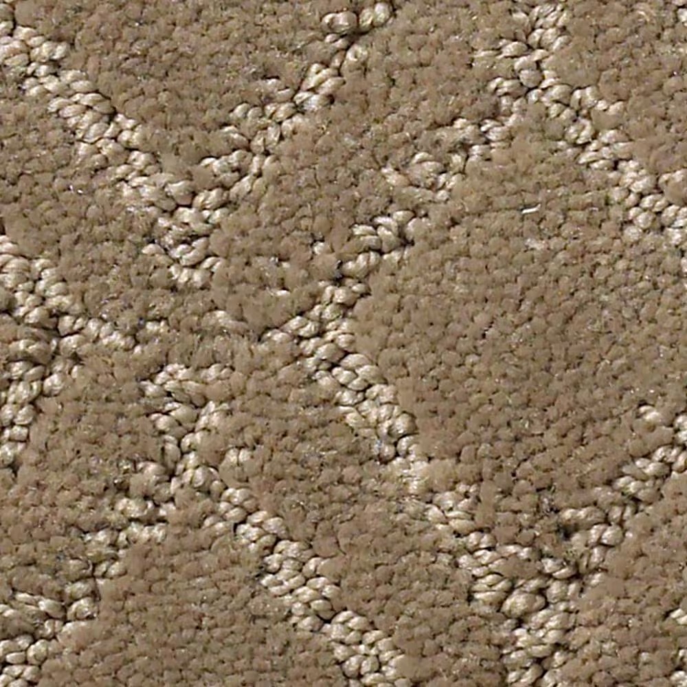 Anderson Tuftex Muse Carpet in Rockport