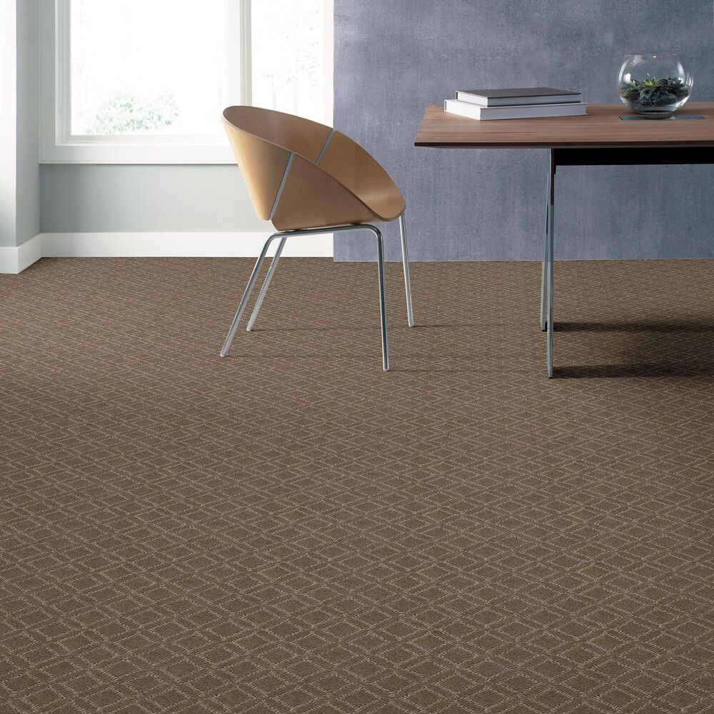 34505-anderson-tuftex-muse-carpet-in-rockport-1.jpg