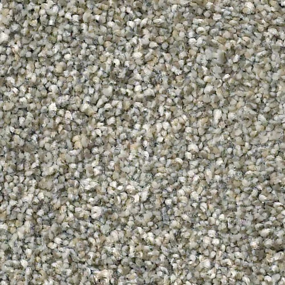 Shaw Simply the Best Montage II Carpet in Tempting Taupe