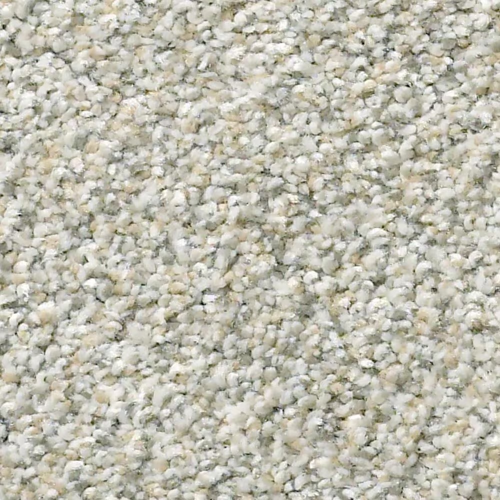 Shaw Simply the Best Montage II Carpet in River Rock