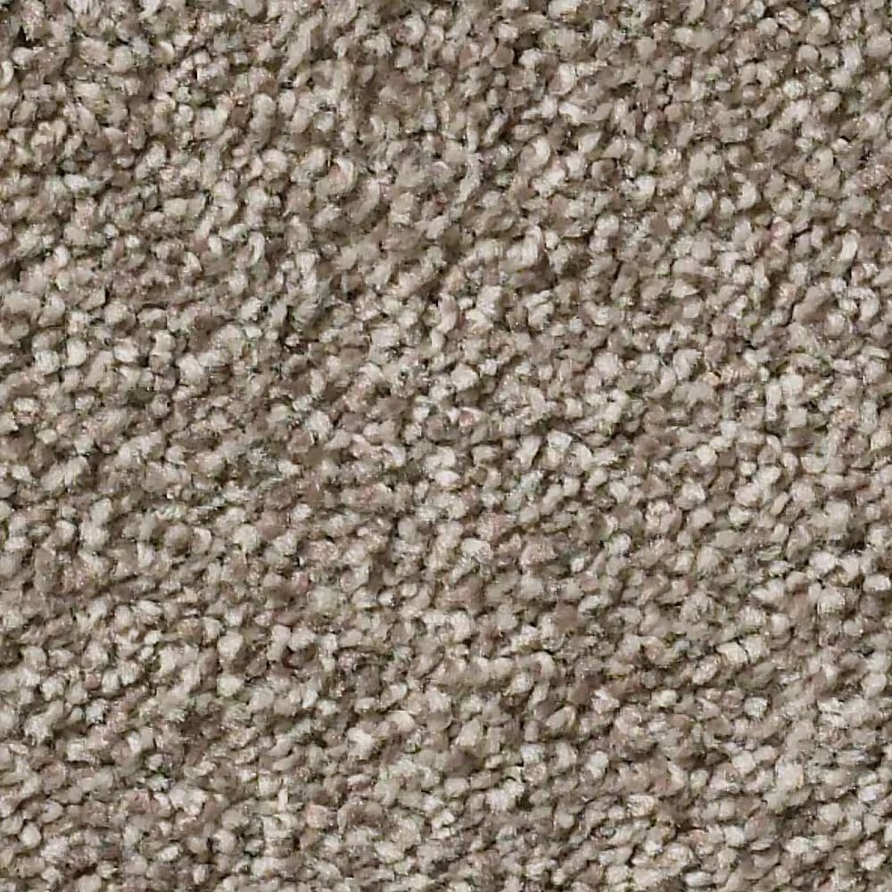 Shaw Simply the Best Montage II Carpet in Midtown Brown