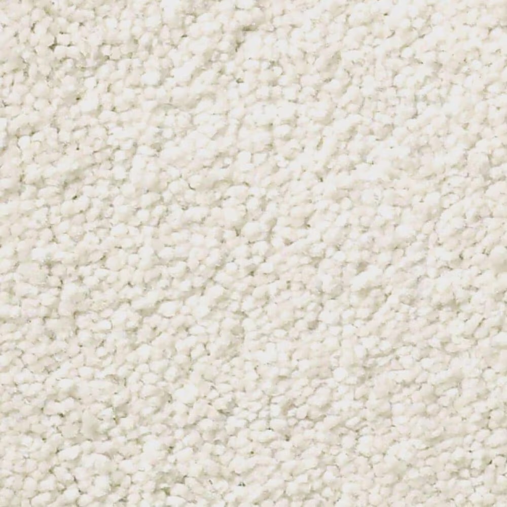 Shaw Simply the Best Montage II Carpet in Painter's Canvas