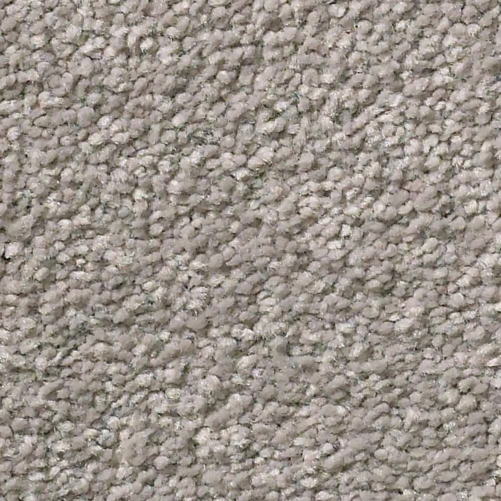 Shaw Simply the Best Montage II Carpet in Polished Stone