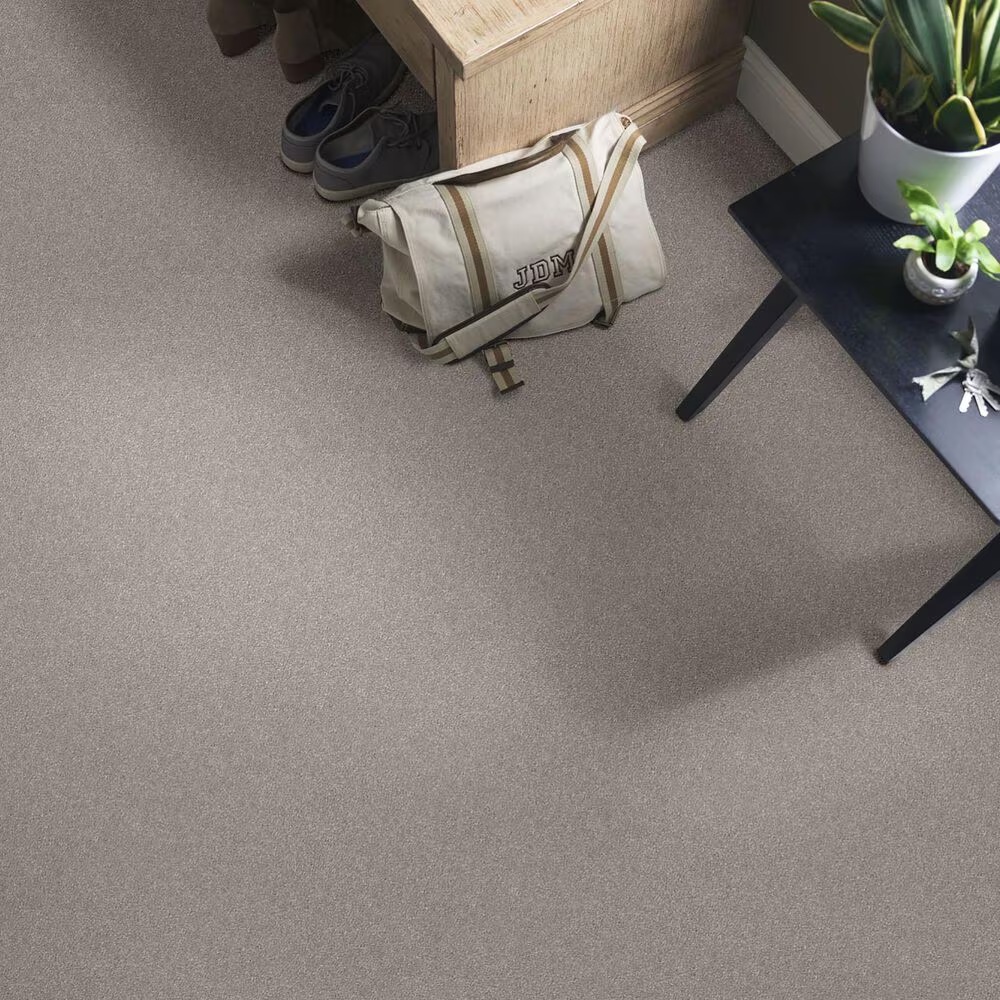 34510-shaw-simply-the-best-montage-ii-carpet-in-polished-stone-1.jpg